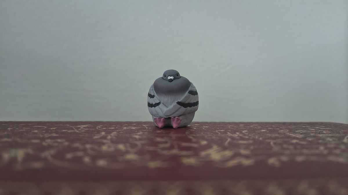 Pigeon figure on top of book, photo taken using Motorola Edge 50 Neo
