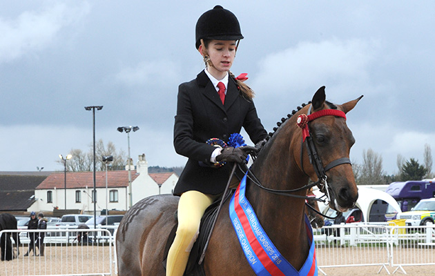 Field Aston Royal Fanfare