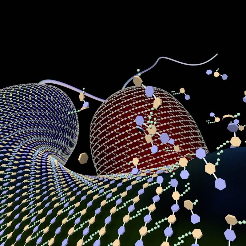 How 'Hot Tub Rash' Bacteria Kills the Competition Live Science