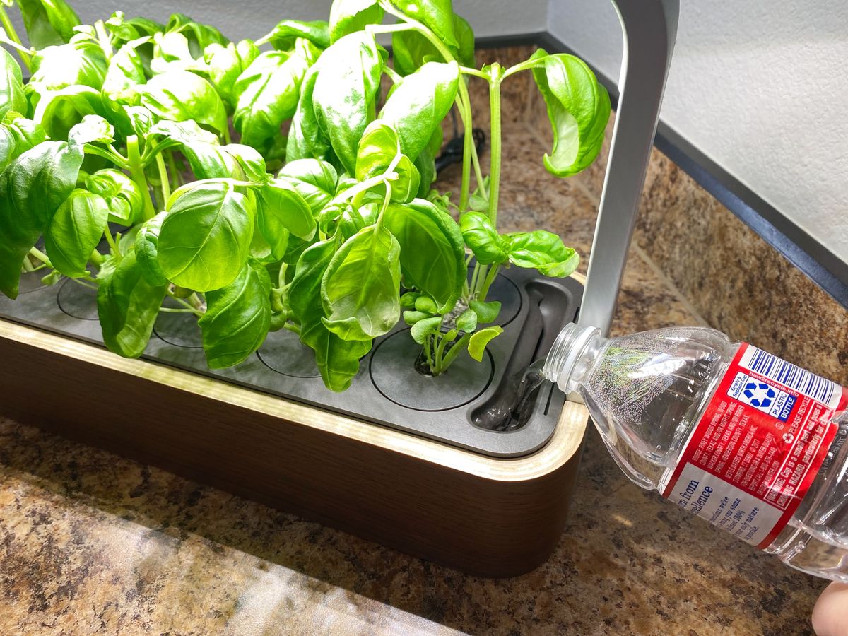 Edn Smallgarden Review Watering