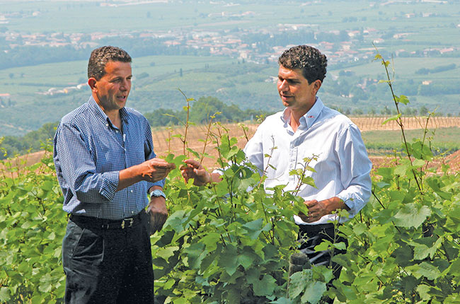 Sandro and Claudio Gini