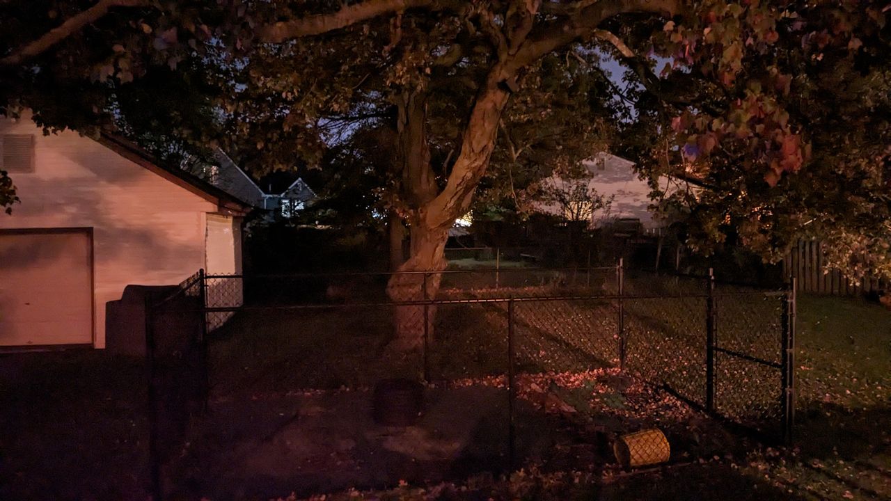 Camera samples taken with Google Pixel Fold.