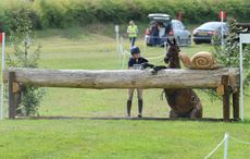 HorseNo467_Barbury15pn_26265.jpg
