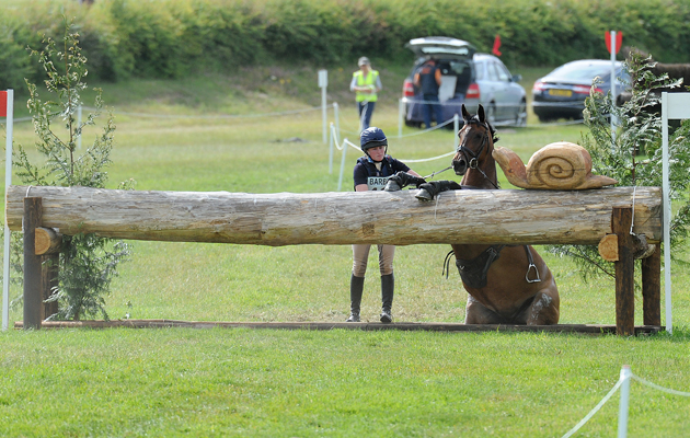 HorseNo467_Barbury15pn_26265.jpg