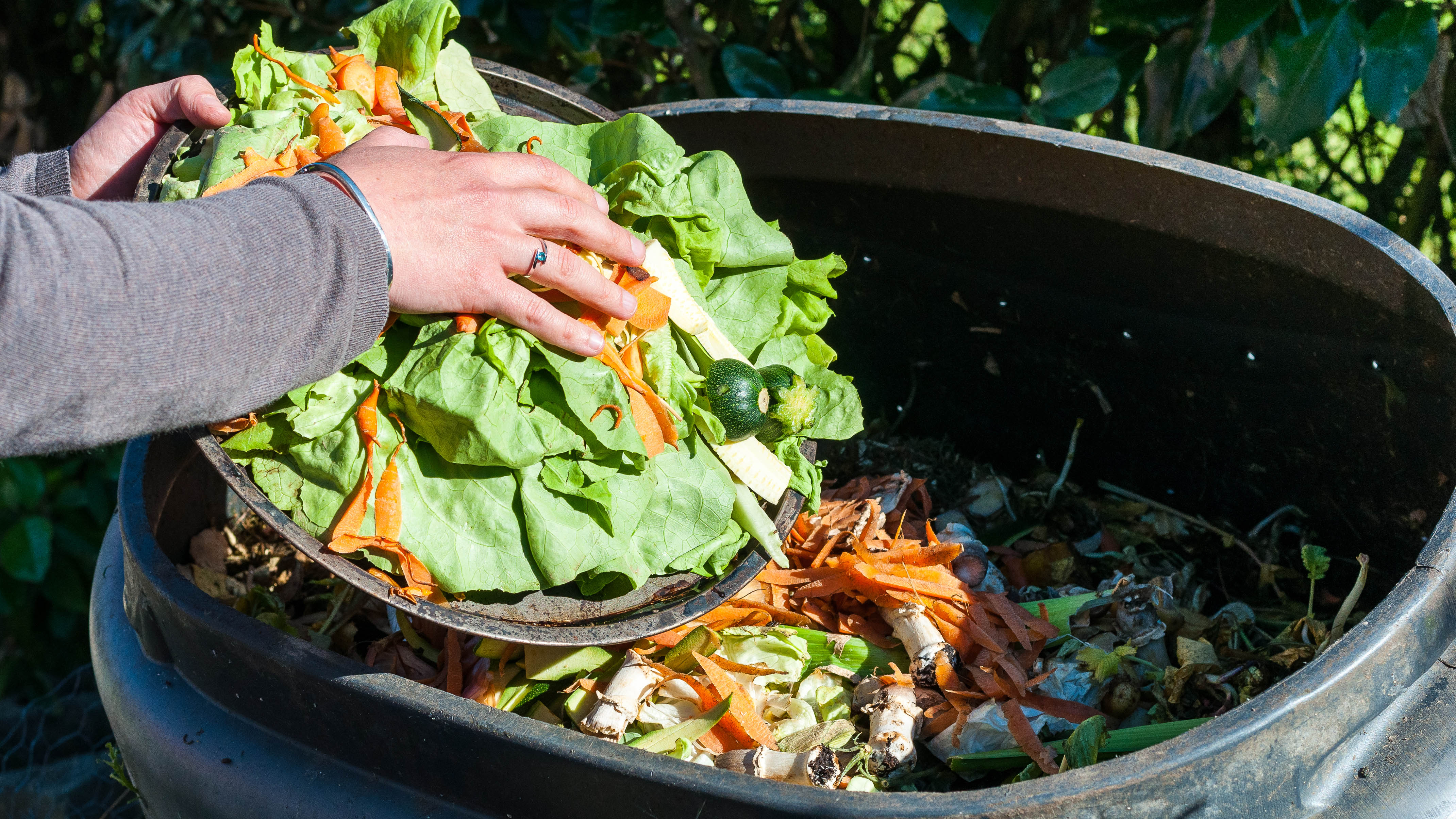 Someone adding fresh produce to the compost heap