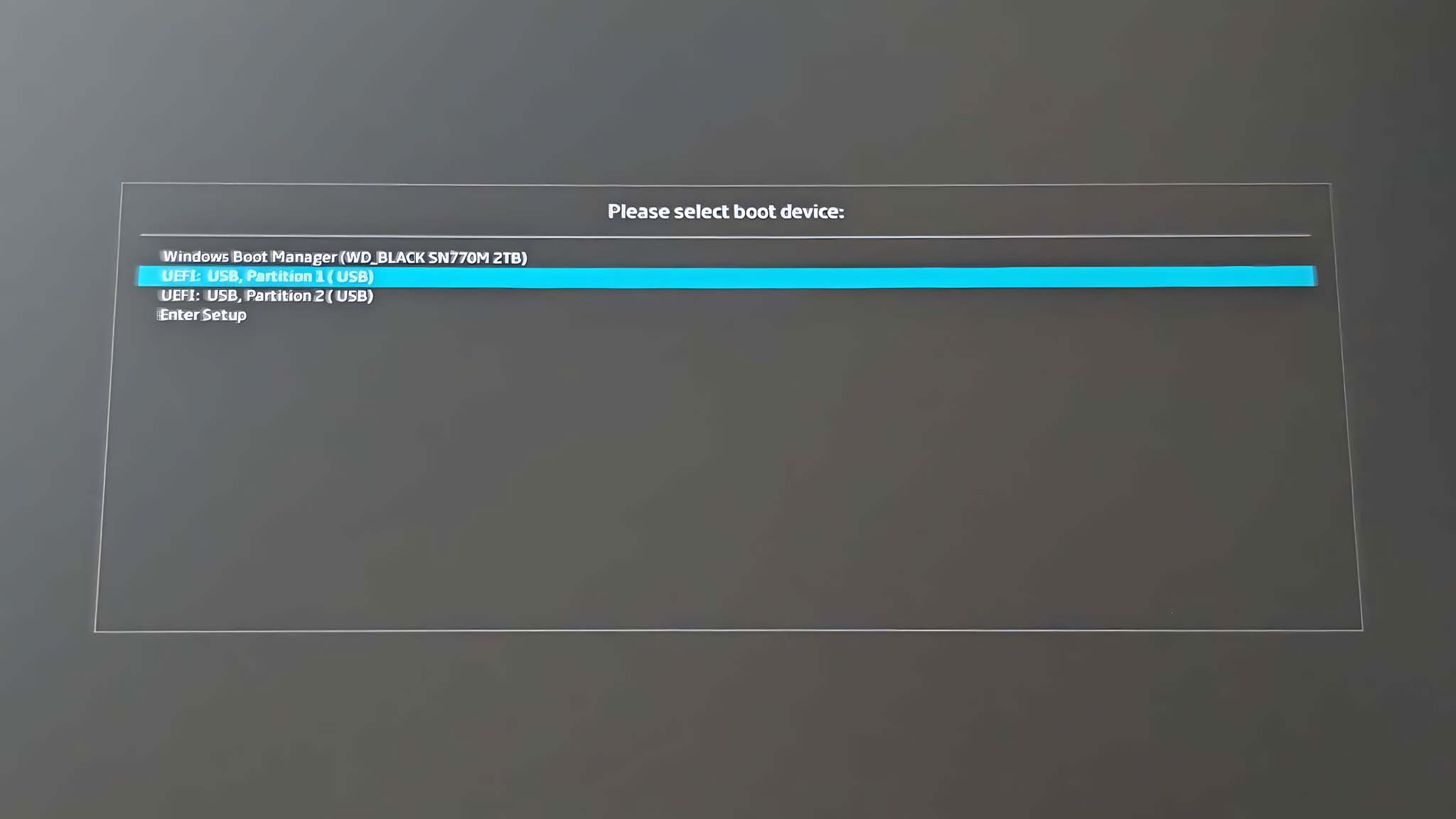 BIOS menu with UEFI: USB, Partition (USB) selected.