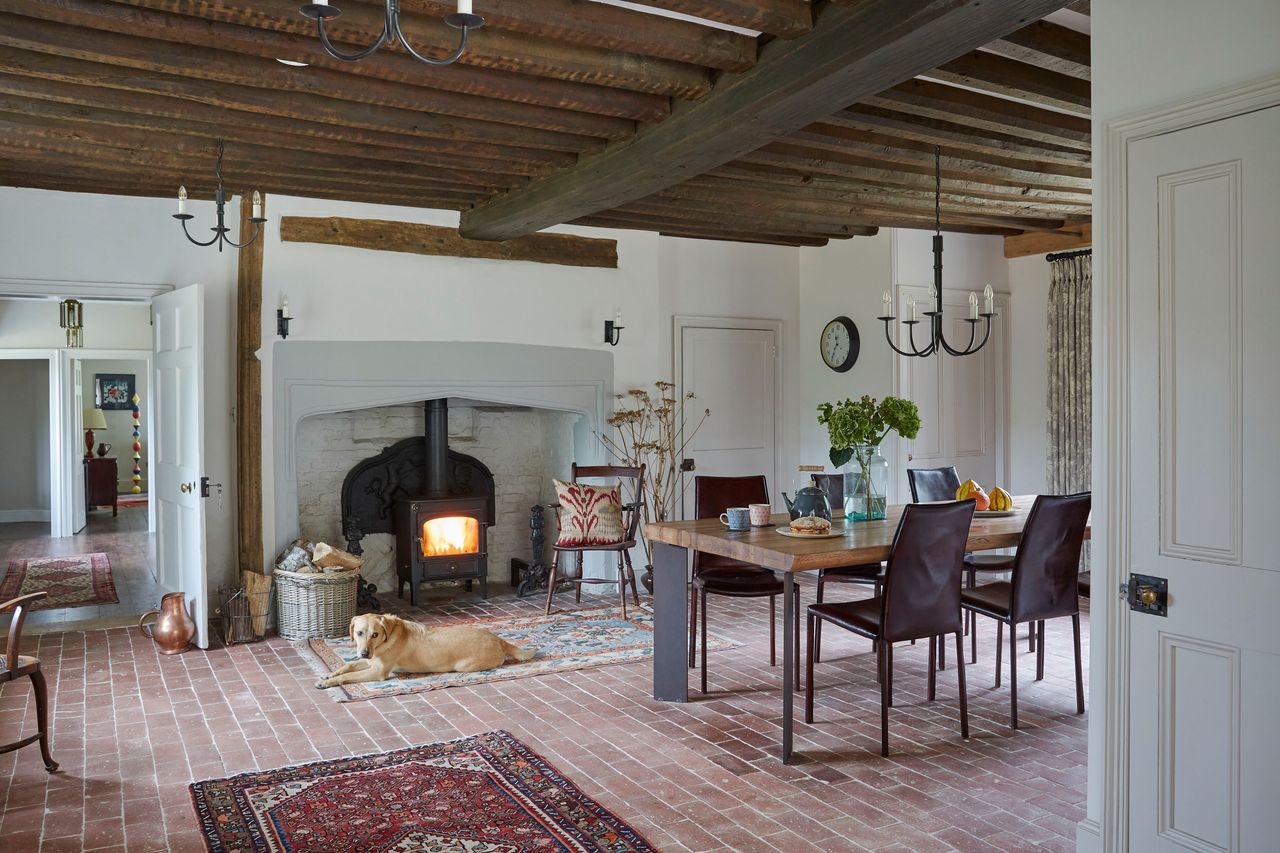 dining room with fireplace and dog wishing it had the best automatic pet feeder