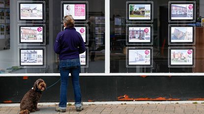 Estate agent's window