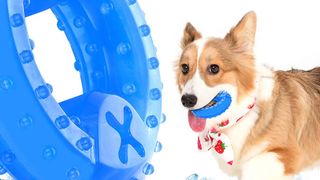 NWK Pet Teether Cooling teething toy for puppies