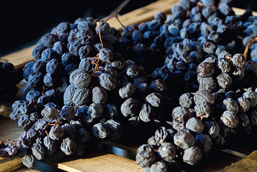 Amarone Riserva Grapes