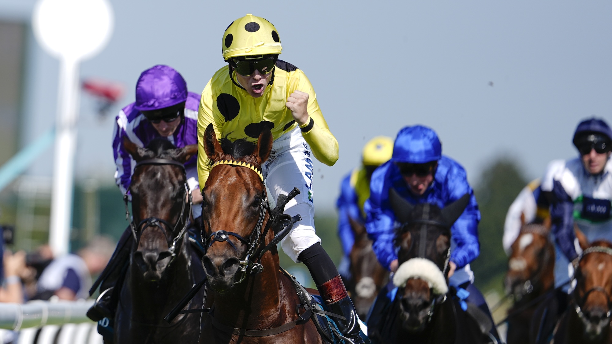 CHICHESTER, ENGLAND - JULY 29: Billy Loughnane riding Bow Echo (yellow) win The Visit Qatar Sussex Stakes at Goodwood Racecourse on July 29, 2026 in Chichester, England.