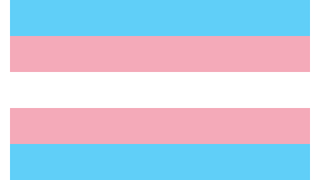 Transgender pride flag