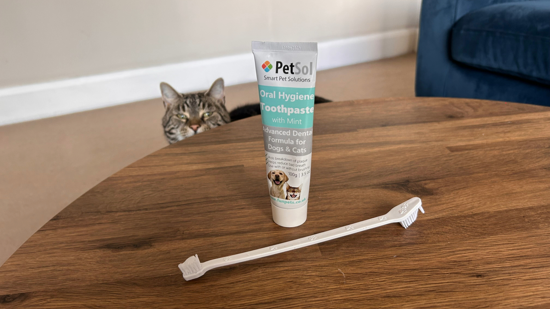 A pet toothbrush and toothpaste on a wooden table, with Megan's cat Nala peeping her head below the table on the other side