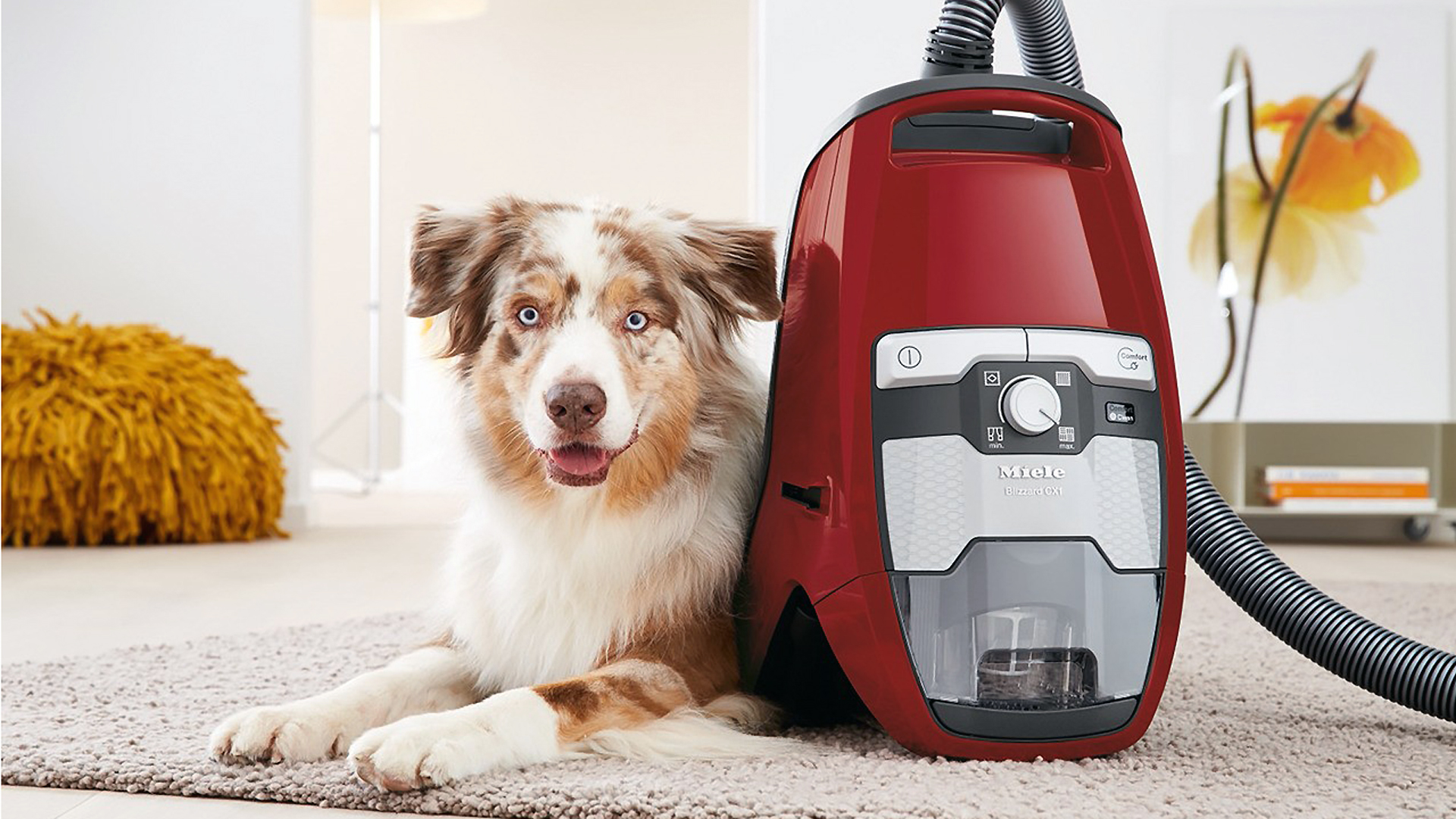 great vacuum cleaners