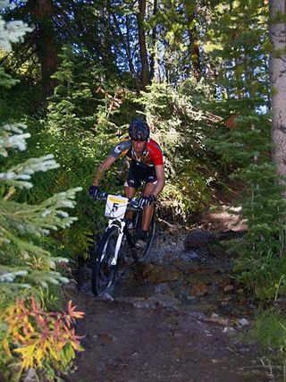 Henry was soon to follow…