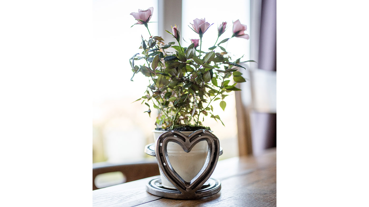 Horseshoe Heart Vase Holder gifts for horse lovers