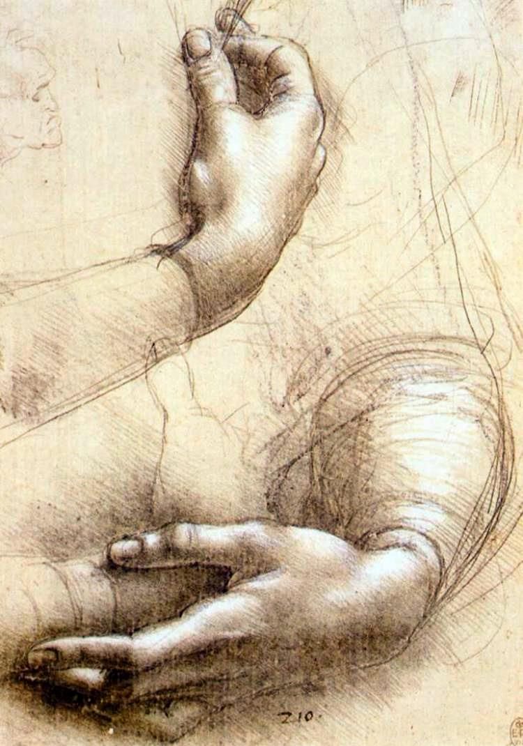 &quot;Study of Arms and Hands&quot; by Leonardo da Vinci, 1474.