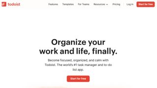 Website screenshot for Todoist