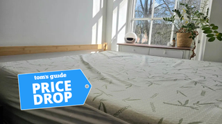 Utopia Bedding Bamboo Mattress Protector in a brightly lit room