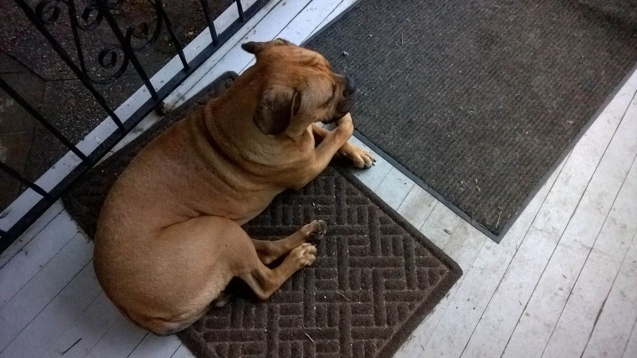 Lumia 1520 sample