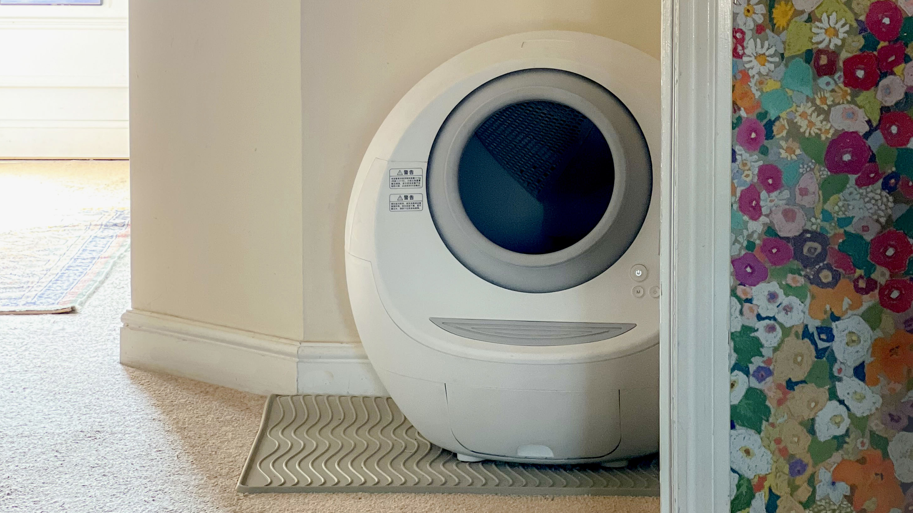litter pod in use in a hallway