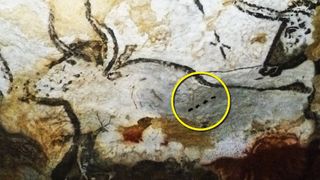 A 21,500-year-old cave painting depicting an extinct cattle species known as an aurochs in the Lascaux caves, in France. Notice the four dots (in the digital yellow circle) which may have had a special meaning for ice age peoples.