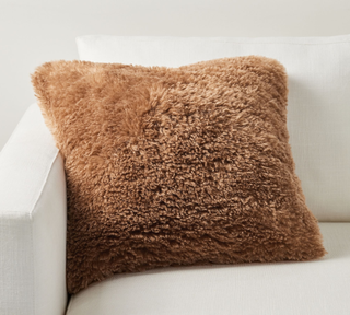 Pottery Barn furry throw pillow cover