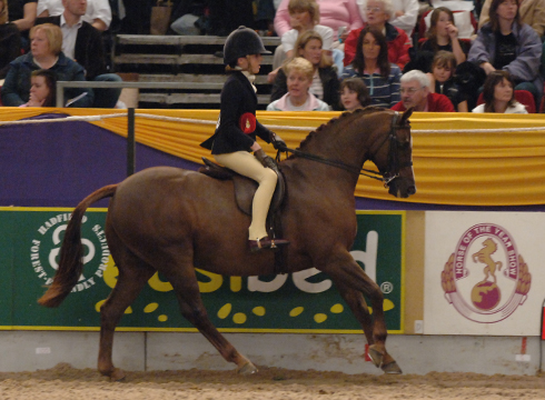 2006: Fairholme Rossetta&amp;rsquo;s Rhapsody