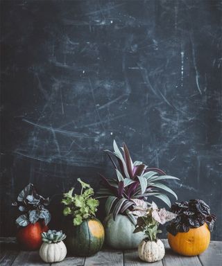 DIY pumpkin vase ideas against blackboard backdrop