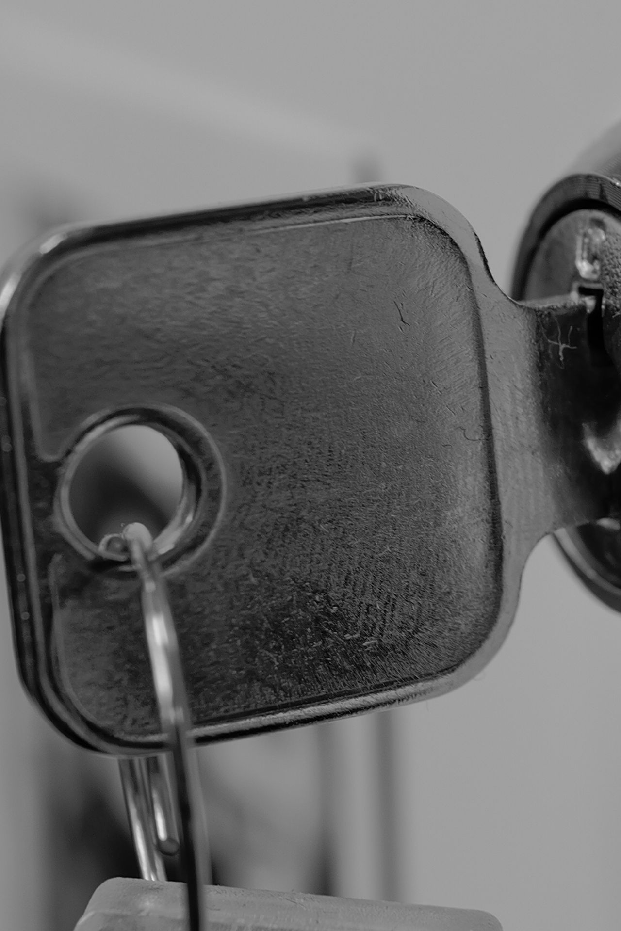 Leica Q3 Monochrom vs Leica Leitzphone macro comparison