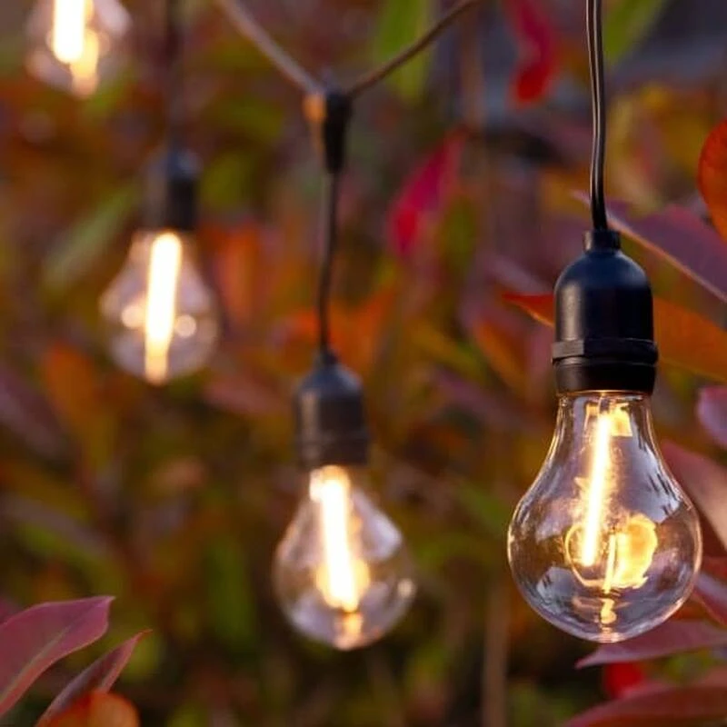 Suri Lance Solar Led Festoon Lights - Transparent
