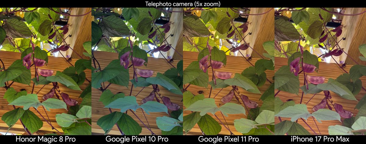Comparing telephoto camera shots between the Google Pixel 11 Pro, iPhone 17 Pro Max, Pixel 10 Pro, and Honor Magic 8 Pro