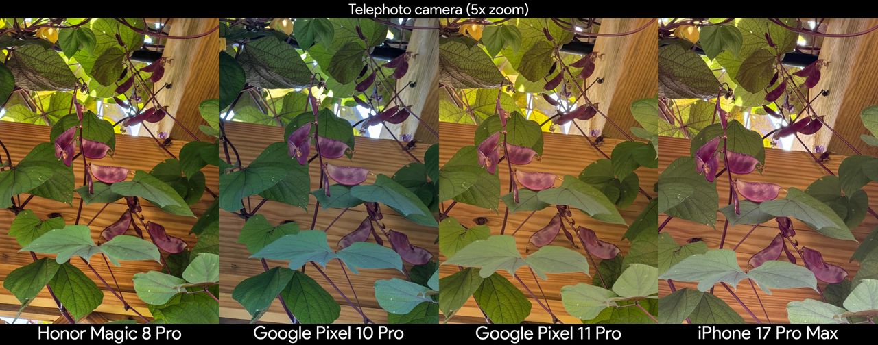 Comparing telephoto camera shots between the Google Pixel 11 Pro, iPhone 17 Pro Max, Pixel 10 Pro, and Honor Magic 8 Pro