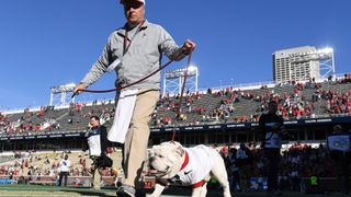 Uga the dog being led out into a football stadium