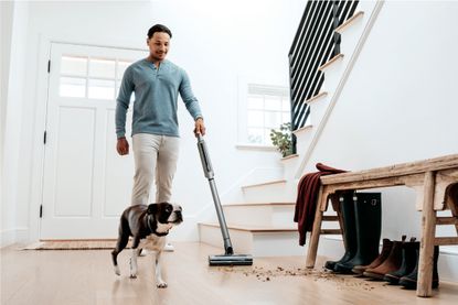 Shark Wandvac System Ultra-Lightweight Powerful Cordless Stick Vacuum