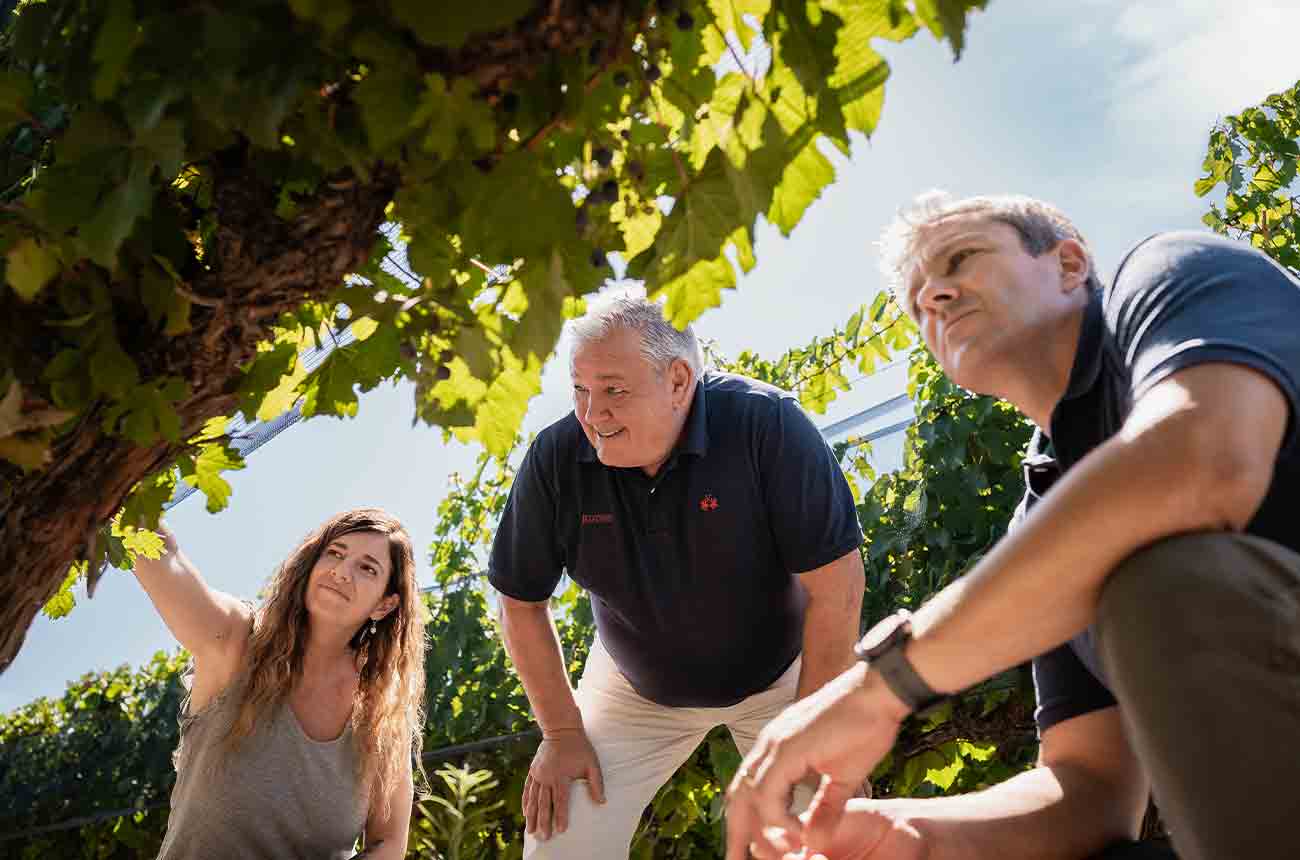 Rutini's winemakers producing the Single Vineyard range