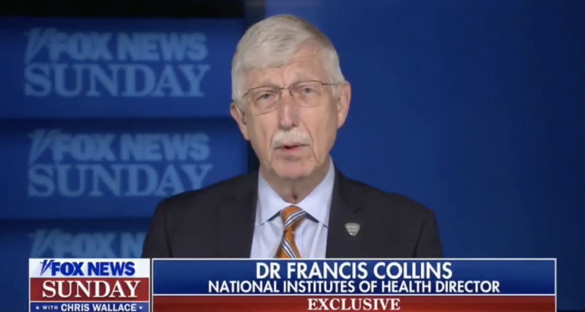 NIH Director Says He Ll Be Surprised If U S Doesn T Hit 200 000 COVID   IwLoLMX3XSLoU8a2fHHqs 1200 80 