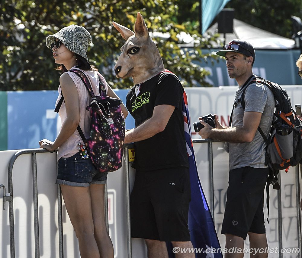 Kangaroo Man was on site.