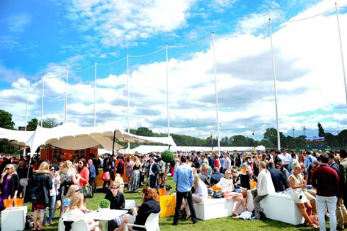 Polo in the park 3