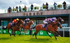 Charity Retraining of Racehorses has taken great strides in the past two decades, with retired racehorses now taking part in its 40 annual events — such as at this year’s Boodles May Festival at Chester Racecourse (left) — in their thousands, many, like gelding Good Boy Alex with new-found success.