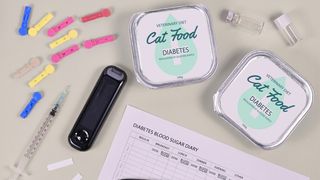 Veterinary cat food, glucometer and syringe and blood sugar diary on gray background