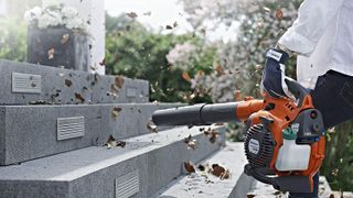 Get the best cheap leaf blower deals to make short work of tidying leaves from your yard.