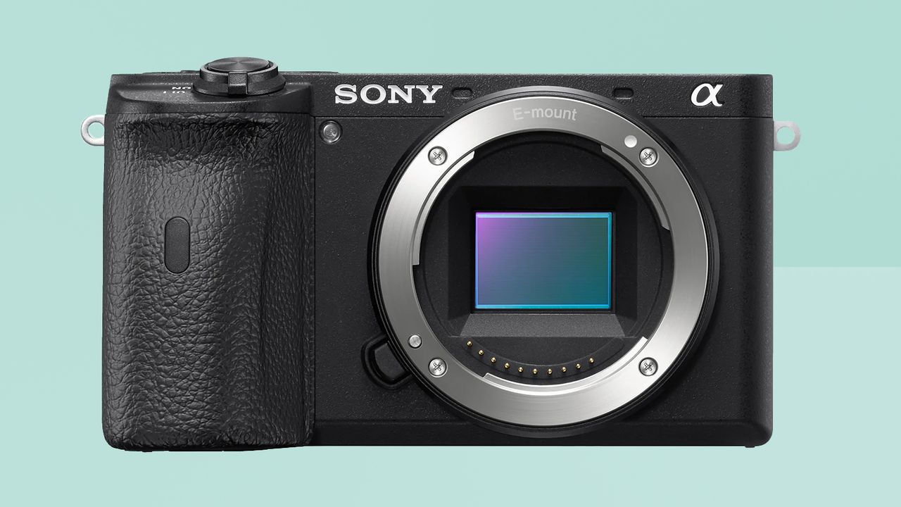 Sony A6600 review