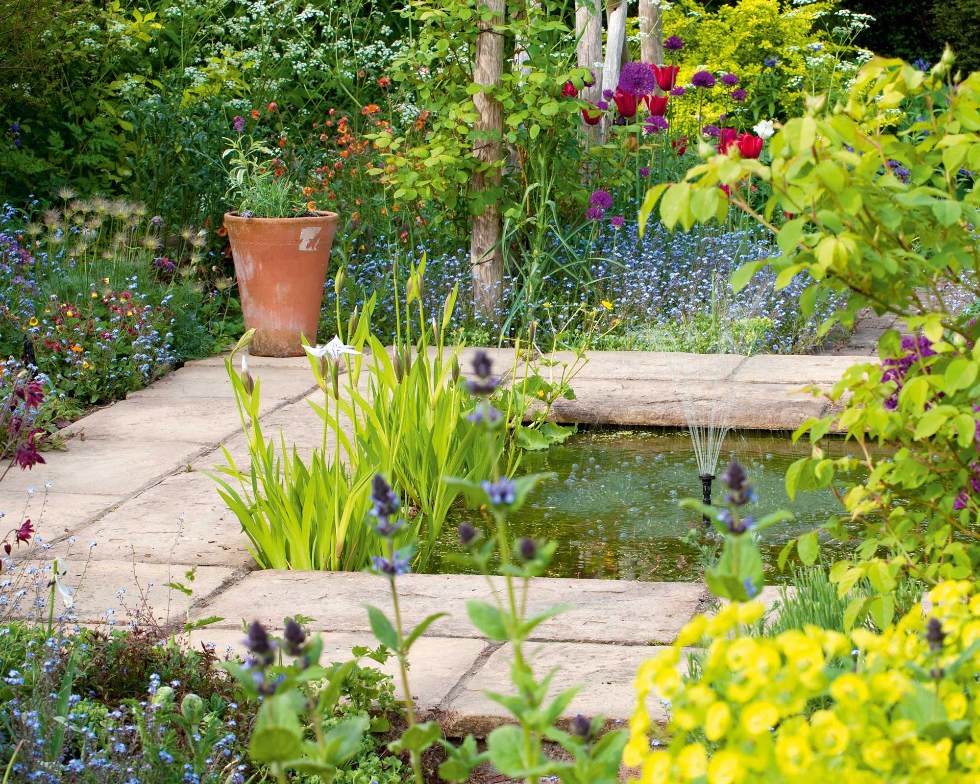 pond with plants and fountain