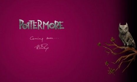 A teaser for a mysterious new &amp;quot;Pottermore&amp;quot; website is revving up Harry Potter fans.