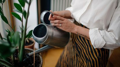 Woman watering plants