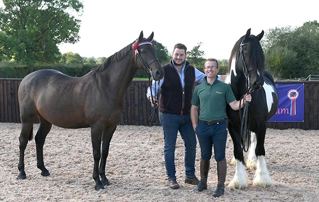 Moluccan Bengal Beauty (Ben) with David and The Magpie (Pie) with Adam at Jinks Show Team's yard with David at their base of Grange Farm near Winford in Cheshire in the UK on 28th September 2018