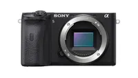 Sony A6600