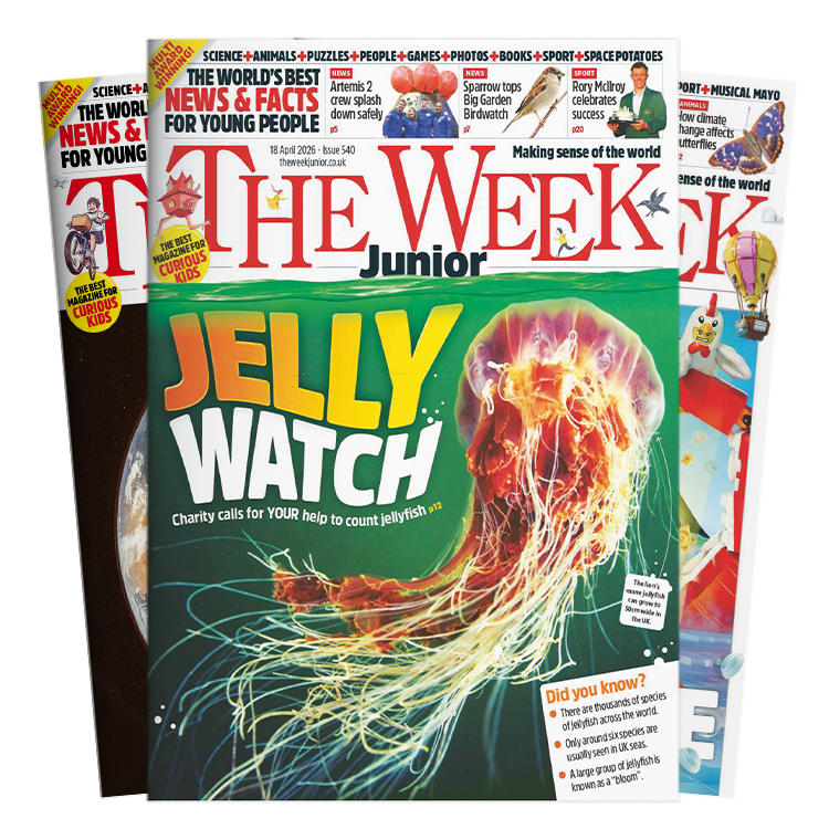 Print covers