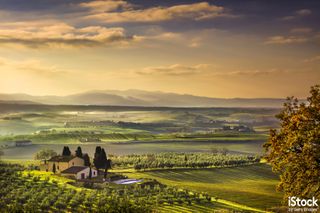 Tuscany Maremma foggy morning, farmland and green, by StevanZZ